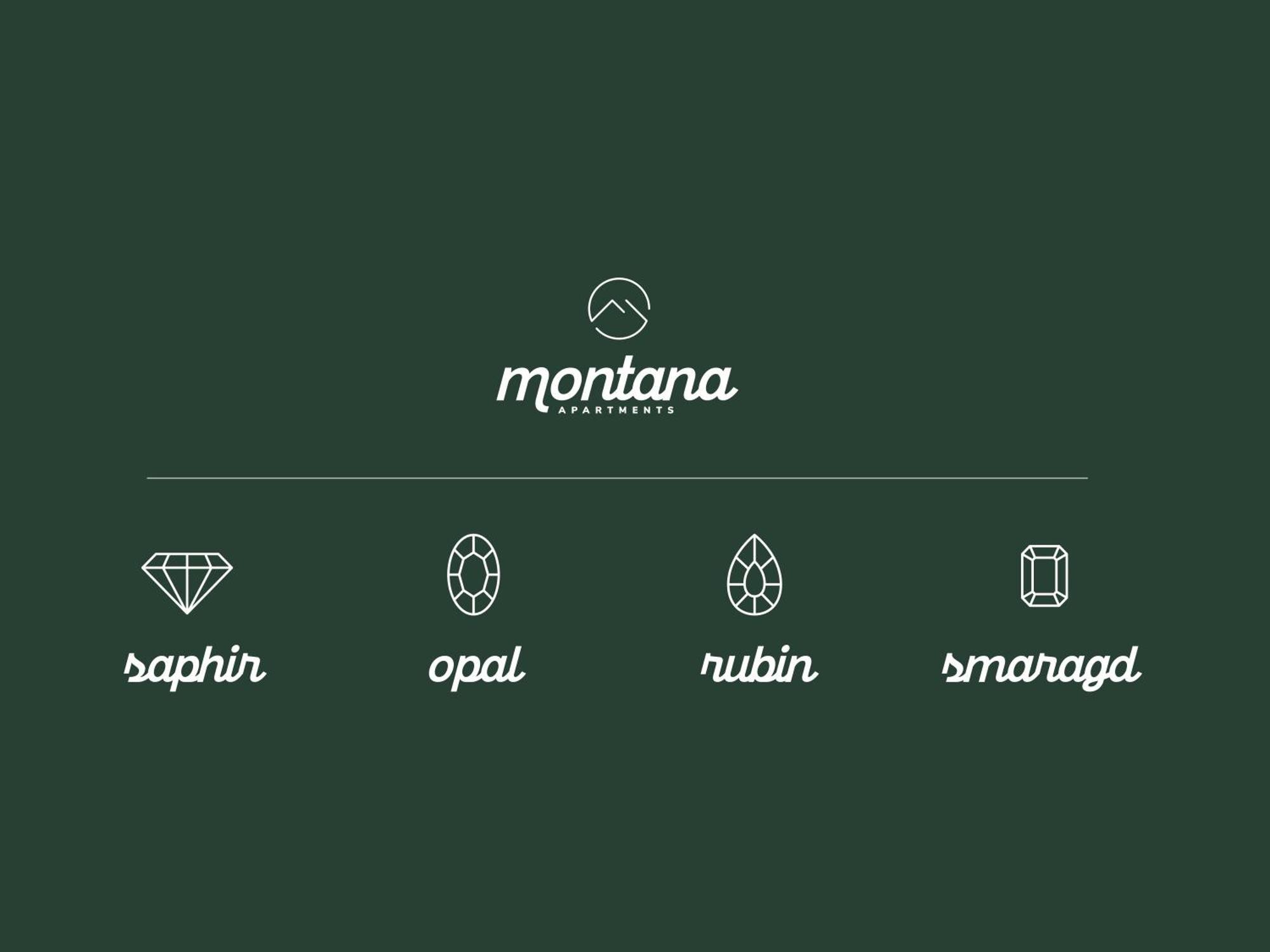 Montana Apartments マイヤーホーフェン エクステリア 写真
